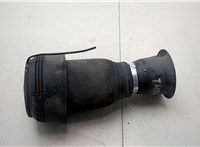 37126790079, 6790079 Пневмоподушка BMW X5 E70 2006-2013 21101444 #1