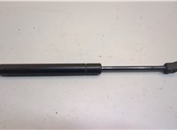  Амортизатор капота Nissan Titan 2003-2015 21105236 #1