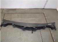 103624500E Жабо под дворники (дождевик) Tesla Model X 2015-2021 21108418 #1