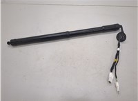 905603FY0A Амортизатор крышки багажника Infiniti FX 2008-2013 21109593 #1