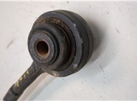 31122405863, 2405863 Рычаг подвески BMW X1 (E84) 2009-2015 21110092 #3