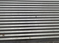 3C0145805AM Радиатор интеркулера Volkswagen Passat CC 2012-2017 21112366 #2