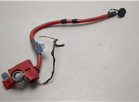 9217032 Клемма аккумулятора BMW 7 F01 2008-2015 21112895 #1