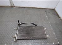 216068S110 Радиатор масляный Volkswagen Tiguan 2007-2011 21114820 #1