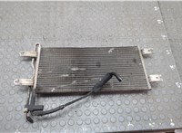 216068S110 Радиатор масляный Volkswagen Tiguan 2007-2011 21114820 #3