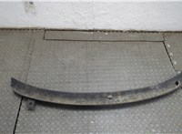 3B1819415C Жабо под дворники (дождевик) Volkswagen Passat 5 1996-2001 21117722 #1
