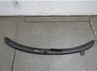 3B1819415C Жабо под дворники (дождевик) Volkswagen Passat 5 1996-2001 21117722 #2