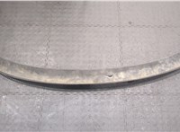 3B1819415C Жабо под дворники (дождевик) Volkswagen Passat 5 1996-2001 21117722 #4