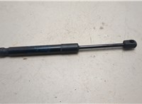 51237300567 Амортизатор капота Mini Cooper (F56) 2013-2024 21117857 #1