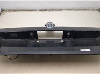  Накладка под номер (бленда) Lincoln Navigator 2006-2014 21118354 #1