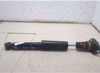3C0513049BS Амортизатор подвески Volkswagen Passat 6 2005-2010 21120271 #5