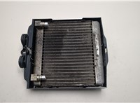 17217572542 Радиатор масляный BMW 7 F01 2008-2015 21121252 #1
