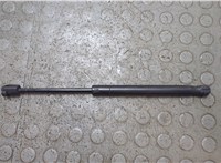 6319350330N Амортизатор капота Tesla Model X 2015-2021 21129718 #1