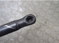 6319350330N Амортизатор капота Tesla Model X 2015-2021 21129718 #3