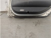  Дверная карта (Обшивка двери) Renault Megane 2 2002-2009 11793851 #3
