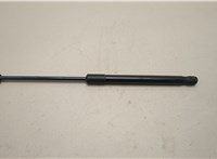 51237148346, 7148346 Амортизатор капота BMW X6 E71 2007-2014 21135787 #1