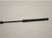 51237148346, 7148346 Амортизатор капота BMW X6 E71 2007-2014 21135791 #1