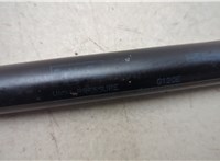 FL3Z16C826A, FL3Z16C826B Амортизатор капота Ford F-150 2014-2020 21137513 #2