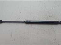 FL3Z16C826A, FL3Z16C826B Амортизатор капота Ford F-150 2014-2020 21137515 #1