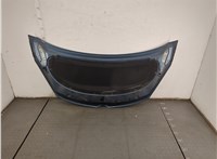  Петля капота Opel Zafira C 2011-2019 11789949 #2