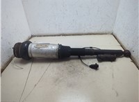 A2203205013 Амортизатор подвески Mercedes S W220 1998-2006 21138604 #4