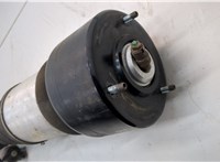 A2203202138, A2203202238 Амортизатор подвески Mercedes S W220 1998-2006 21138611 #3