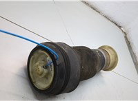 37126790082, 6790082 Пневмоподушка BMW X6 E71 2007-2014 21138616 #2