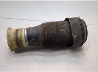37126790082, 6790082 Пневмоподушка BMW X6 E71 2007-2014 21138619 #1