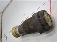 37126790082, 6790082 Пневмоподушка BMW X6 E71 2007-2014 21138619 #3
