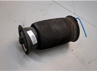 37126790079, 6790079 Пневмоподушка BMW X5 E70 2006-2013 21138624 #1
