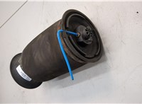 37126790079, 6790079 Пневмоподушка BMW X5 E70 2006-2013 21138624 #3