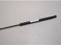 904607S000 Амортизатор стекла багажника Infiniti QX56 2004-2010 21141286 #1