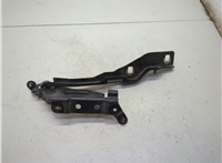  Петля капота Ford F-150 2014-2020 21141818 #3