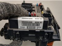 9650664080 Блок управления BSM (Блок предохранителей) Peugeot 406 1999-2004 21149950 #2