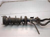 E61101BA0C, 540101BA0A Амортизатор подвески Infiniti EX35 21150464 #1
