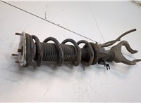E61101BA0C, 540101BA0A Амортизатор подвески Infiniti EX35 21150464 #4