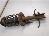 E4302JD03A, 54010JD02C Амортизатор подвески Nissan Qashqai 2006-2013 21151089 #4
