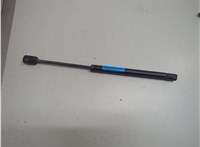 6L2Z16C826A Амортизатор капота Ford Explorer 2006-2010 21152405 #1
