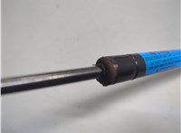 6L2Z16C826A Амортизатор капота Ford Explorer 2006-2010 21152405 #3