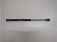 6L2Z16C826A Амортизатор капота Ford Explorer 2006-2010 21152408 #1