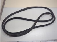  Уплотнитель Nissan Murano 2008-2015 21152476 #1