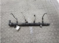 0281002494 Рампа (рейка) топливная Mercedes Vito W639 2003-2014 21153694 #1