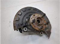 1K0407621F, 3C0407253F, 1K0615311C Ступица (кулак, цапфа) Volkswagen Passat 6 2005-2010 21156449 #1
