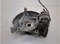 1K0407621F, 3C0407253F, 1K0615311C Ступица (кулак, цапфа) Volkswagen Passat 6 2005-2010 21156449 #2