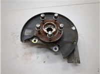 23118285, 13507016 Ступица (кулак, цапфа) Chevrolet Volt 2010-2015 21156576 #1