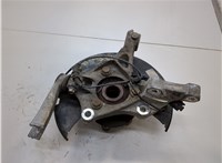 23118285, 13507016 Ступица (кулак, цапфа) Chevrolet Volt 2010-2015 21156576 #2