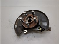 23118286, 13507016 Ступица (кулак, цапфа) Chevrolet Volt 2010-2015 21156584 #1