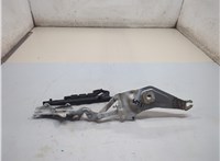  Петля капота Volkswagen Passat 6 2005-2010 21157180 #1