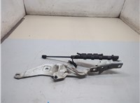  Петля капота Volkswagen Passat 6 2005-2010 21157180 #2