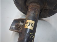 E43021AA1B, 540101AA0B Амортизатор подвески Nissan Murano 2008-2015 21159272 #3